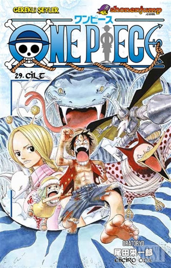 One Piece Cilt: 29